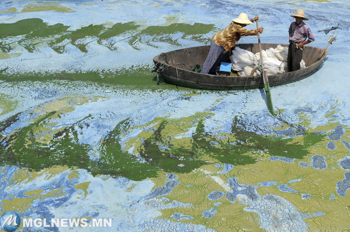 24. Загрязненное озеро Чаоху, в провинции Аньхой, Китай загрязнение, мир, фото