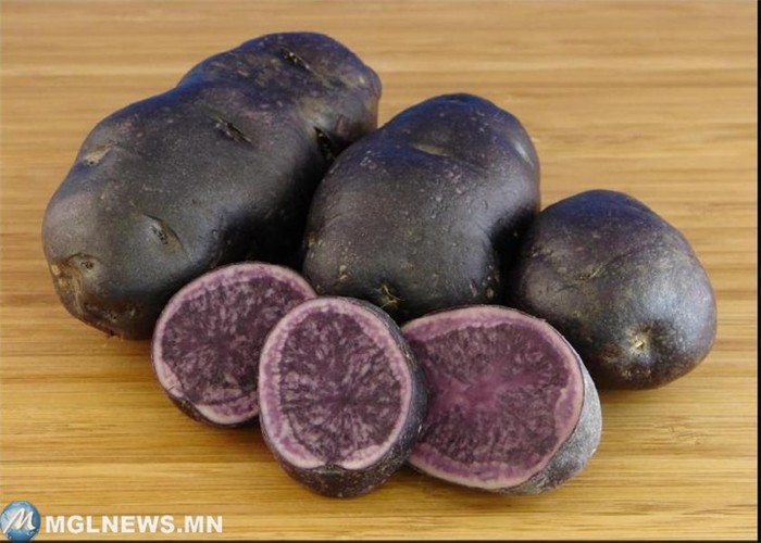 Фиолетовый картофель дача, овощи