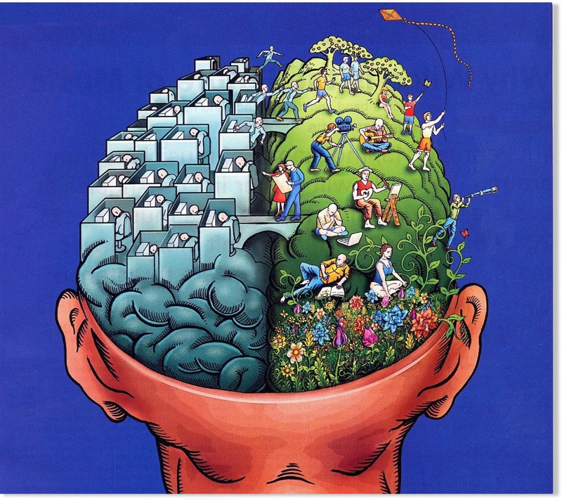 1. The human brain takes in 11 million pieces of information per second but is only aware of 40. fact, science