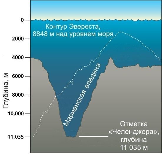 9. The deepest part of the ocean is 36,200 feet down. In other words, that's 25 Empire State Buildings stacked on top of one another. fact, science
